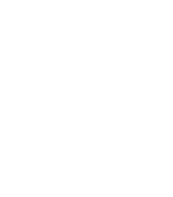 logo_wdp_f